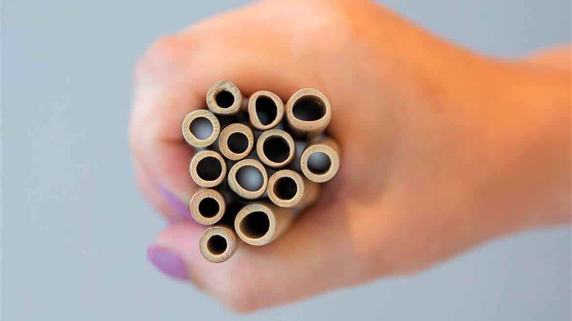 Trinkhalme-aus-Bambus-05